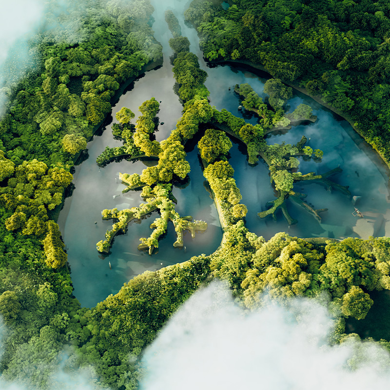 Bild einer Lunge aus Bäumen und Seen 