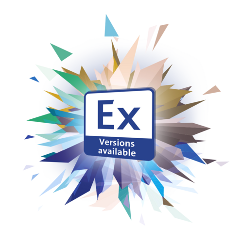 Ex – Versions available